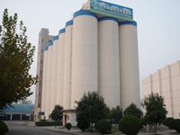 �V���������